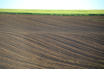  plowed field. Agrarian geometry.Arable land and field with green wheat. Green field, brown arable land.Agrarian background 