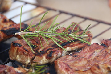 fried grilled meat with herbs
