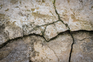 grunge concrete texture