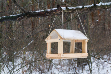 bird feeders. tree house for the birds, cheerful apartment