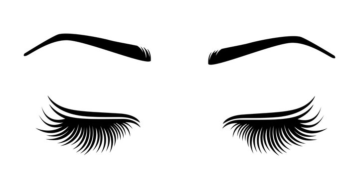 Vector Illustration Of Lashes And Brow. 