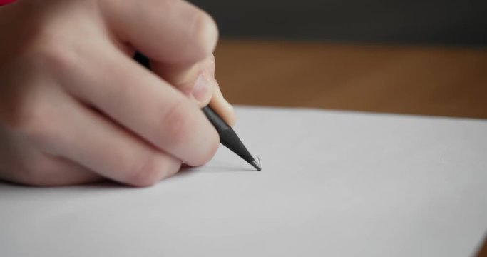 Small hand drawing on blank paper with a pencil.