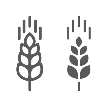Wheat ear line and glyph icon, farming and agriculture, grain sign vector graphics, a linear pattern on a white background, eps 10.