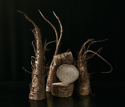 radis blanc  , racines , raw
