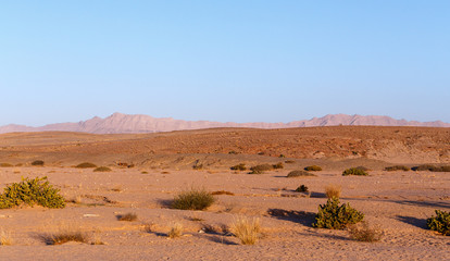 Fototapeta na wymiar Namibia desert with blue sky