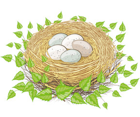 Nest mit kleinen Eiern Gelege mit Zweigen von der Birke Natur Oster Dekoration - 194397894