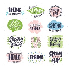 Collection of spring or springtime lettering handwritten with artistic calligraphic fonts and decorated by natural elements. Set of hand drawn creative inscriptions. Colorful vector illustration.