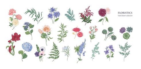 Collection of popular floristic flowers and decorative plants isolated on white background. Set of beautiful floral decorations. Botanical colorful hand drawn vector illustration in vintage style. - obrazy, fototapety, plakaty