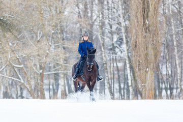 Young rider girl on bay horse walking on snowy field in winter. Winter equestrian activity...