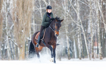 Young woman galloping on bay horse on winter field. Winter equestrian activity background