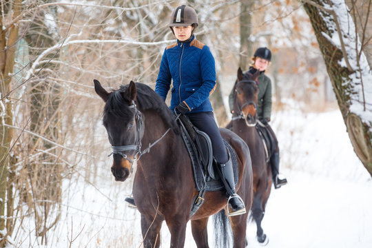 Two sportswomen riding hers bay horses in winter park. Equestrian winter activity background