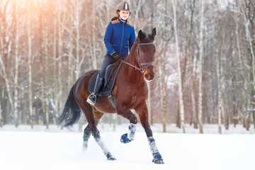 Young rider girl on bay horse walking on snowy field in winter. Winter equestrian activity...