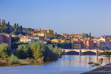 Obraz premium フィレンツエのアルノ川