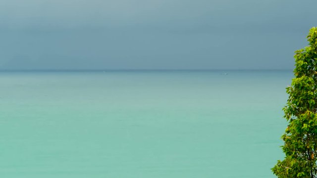 Paradise island exotic beach, tropical plants before rain swaing in the wind. Bright juicy green tree against a tuquoise blue sea background. Ocean coast line landscape.