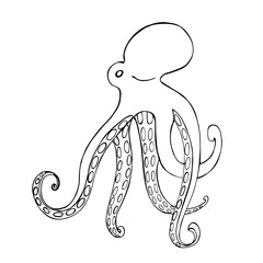 Octopus. Vector sketch  illustration.