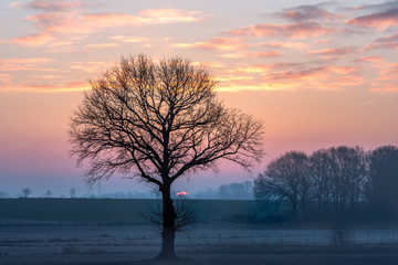 The silouette of a tree without leaves in the twilight and in front of a scenic background. Concept: weather or landscape