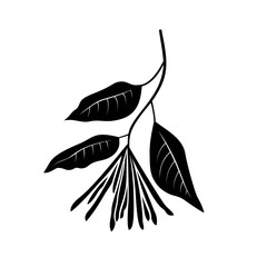 Sourwood vector illustration. Brunch with flowers