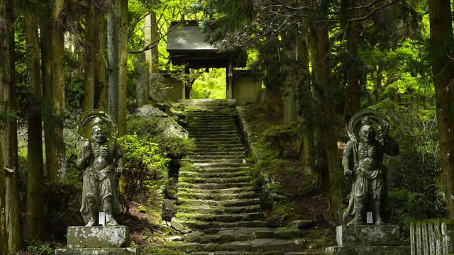 両子寺の参道