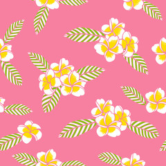 Fototapeta na wymiar Summer floral pattern vector seamless. White frangipani flowers on pink background. Design for tropical fabric, hawaiian textile, exotic wallpaper or paper.