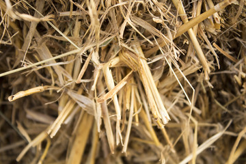straw closeup