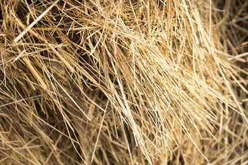 straw closeup