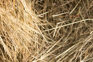 straw closeup