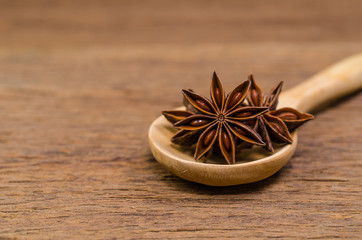 Star anise and cinnamon stick