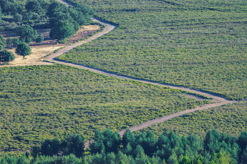 Zig Zag track