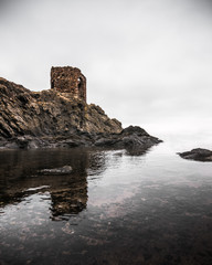 Elie ruins sitting by the North sea - 194404206