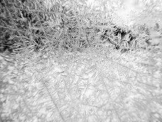 Frozen window - Abstract winter background
black and white