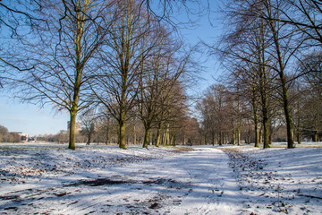 Winter morning at Sefton Park