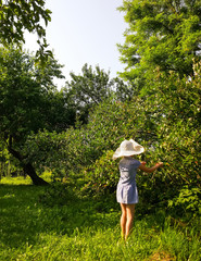 Adorable little girl walks in summer park and exploring nature