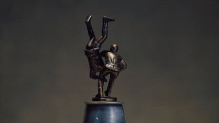 Cup for a victory in the judo championship. Cup for sporting achievement. Golden Trophy Cup on gray background