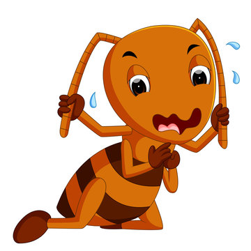 cute brown ant crying