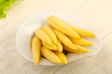 Young baby corn