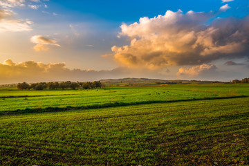 tramonto in sardegna