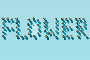 Top view of word flower made from green potted plants on blue