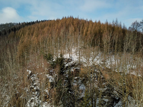 B&auml;ume von oben 