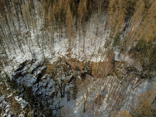 Bäume von oben 