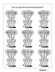 Puzzle and coloring page with flowers in dotted pots. Answer included.