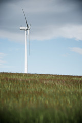 Fototapeta premium Wind energy concept