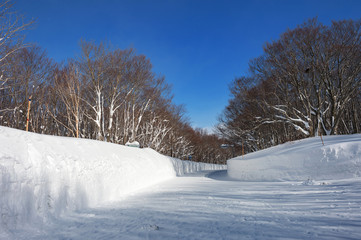 Fototapeta na wymiar 厳冬期の八甲田山　雪の回廊