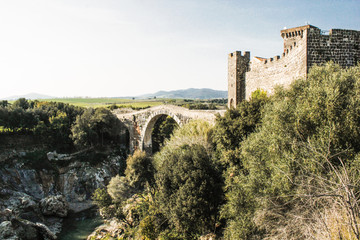 Fototapeta premium antico castello in italia con ponte sul fiume