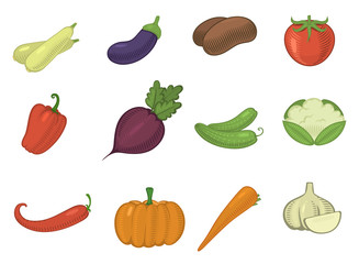 Fototapeta premium vector vegetables healthy tomato, carrot, potato vegetarians pumpkin organic food modern vegetably webshop illustration vegetated symbols set isolated on background