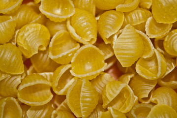macaroni isolated on white background