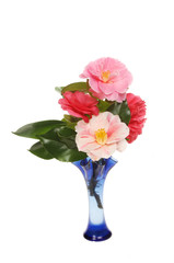 Camellias in a vase