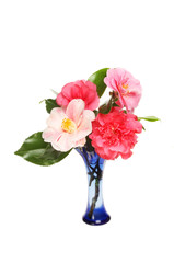 Camellia flower arrangement