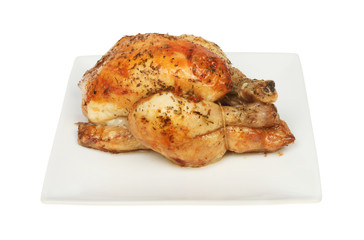 Roasted poussin on a plate