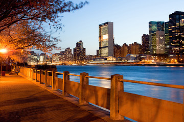 The shore of Roosevelt Island and the skyline of midtown, Manhattan, New York City, USA