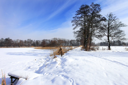 Winter landscape with frozen lake surface and woods in Raszyn ponds near Warsaw in Poland
